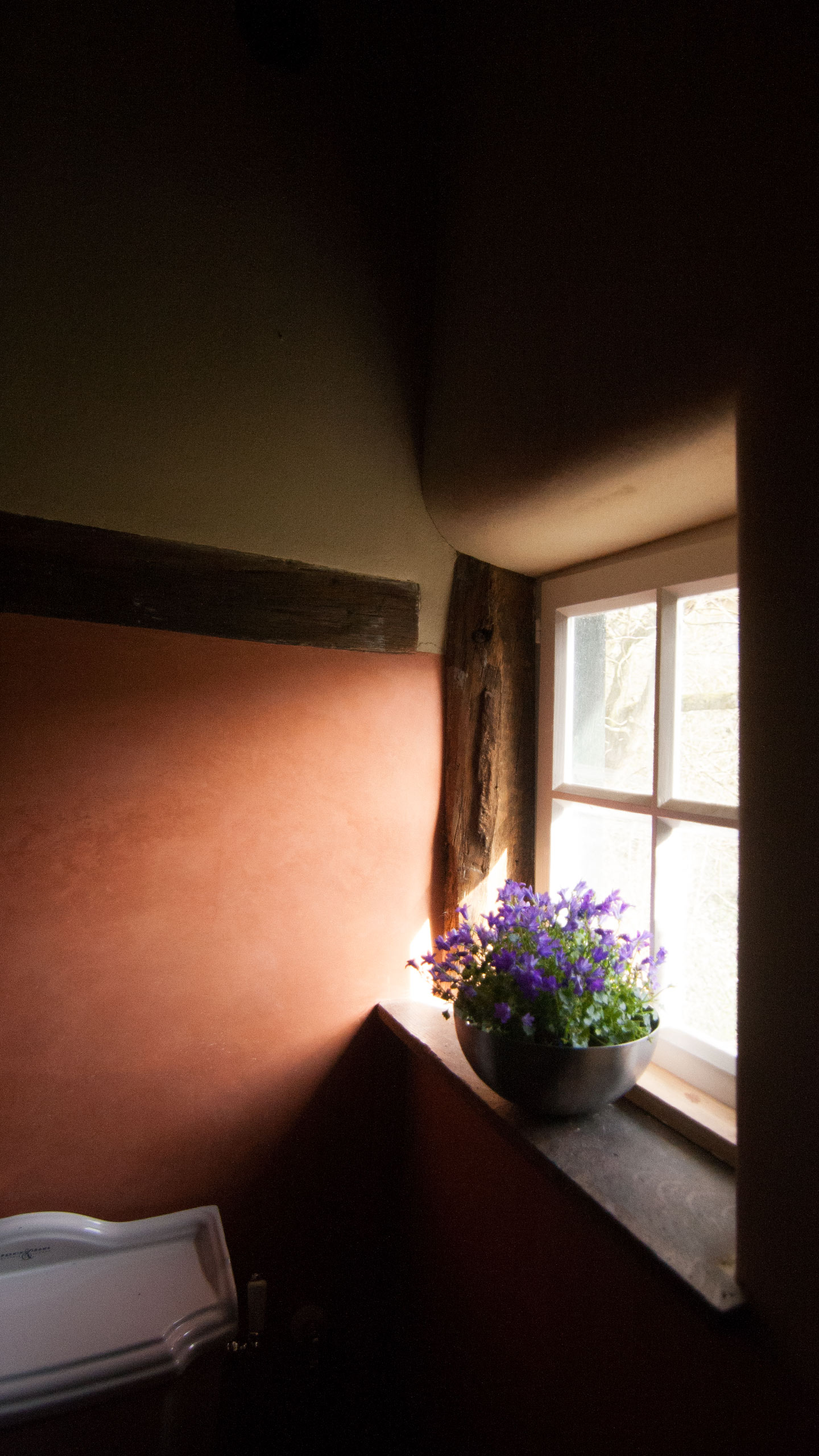 Particulier - Badkamer in koraal rood, Licht en kleur